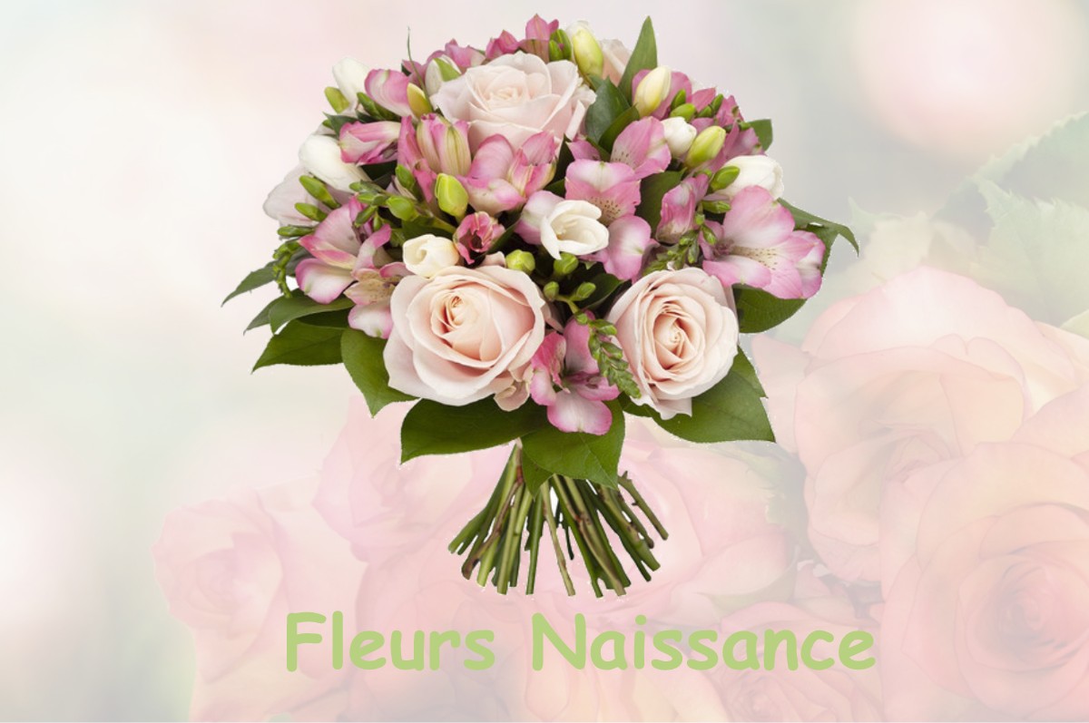 fleurs naissance LA-FRESNAIE-FAYEL